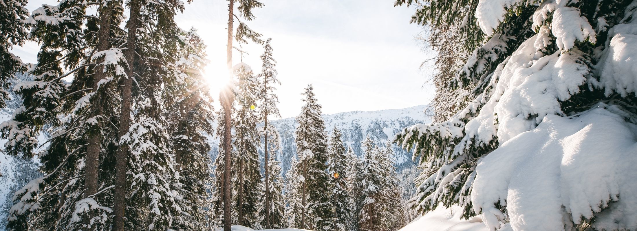 Paysage courchevel