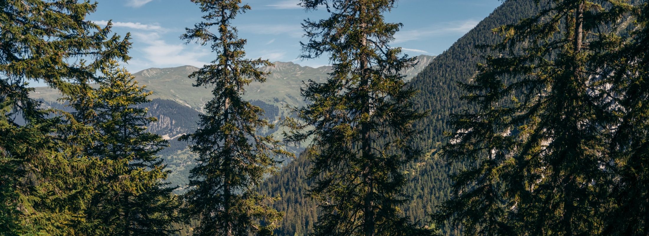 Paysage courchevel